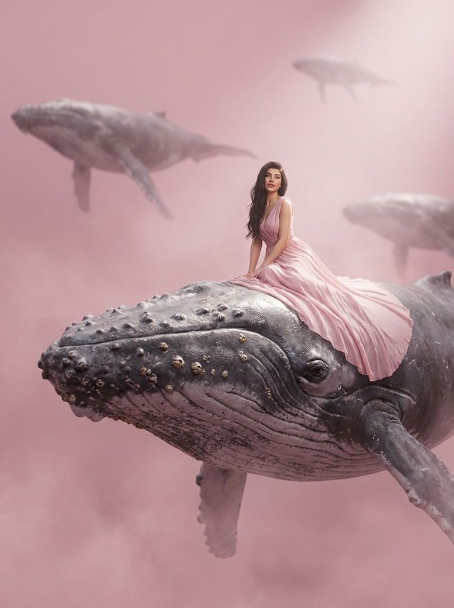 Сюр-фотосессия с китом